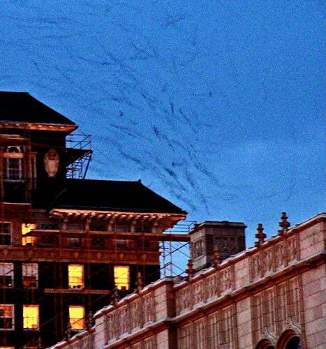 chimney swifts by zen is licensed under CC BY 2.0; in large Chimney of Grove Arcade